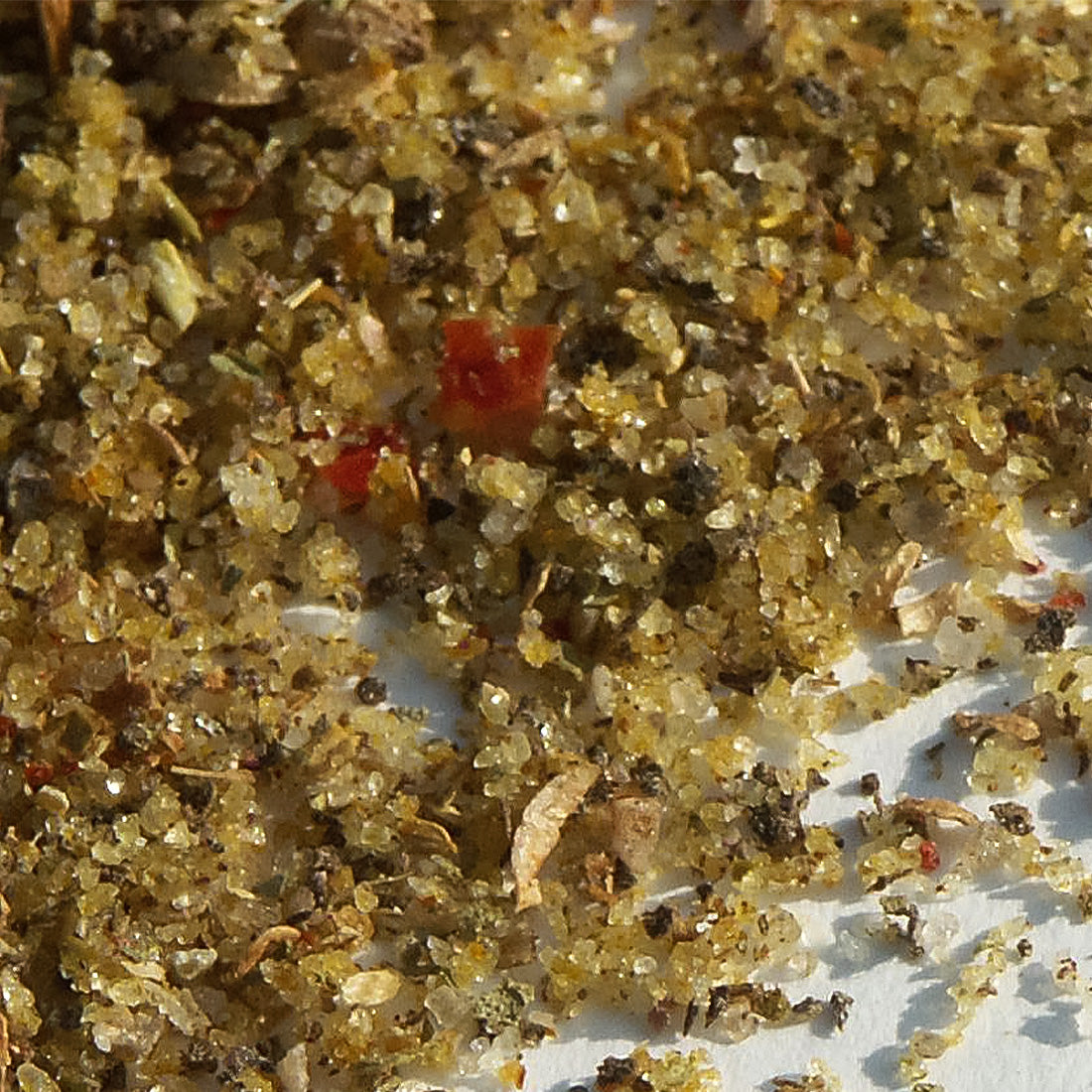 Oreganosalz mit Orangenblüten und Koriander
