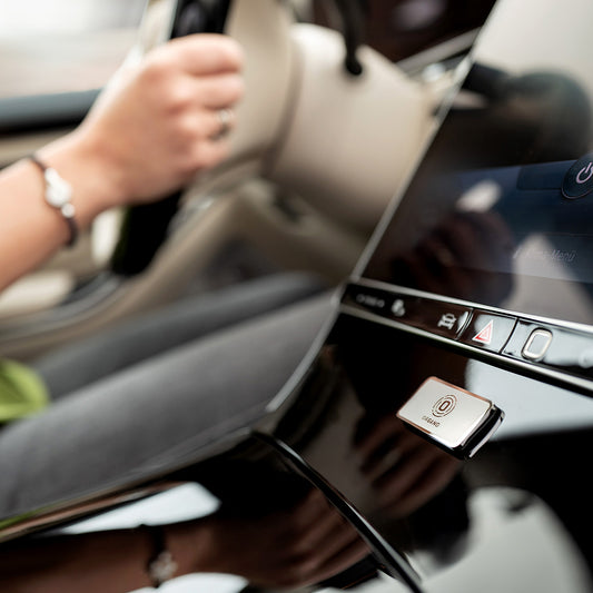 Organo «Auto»